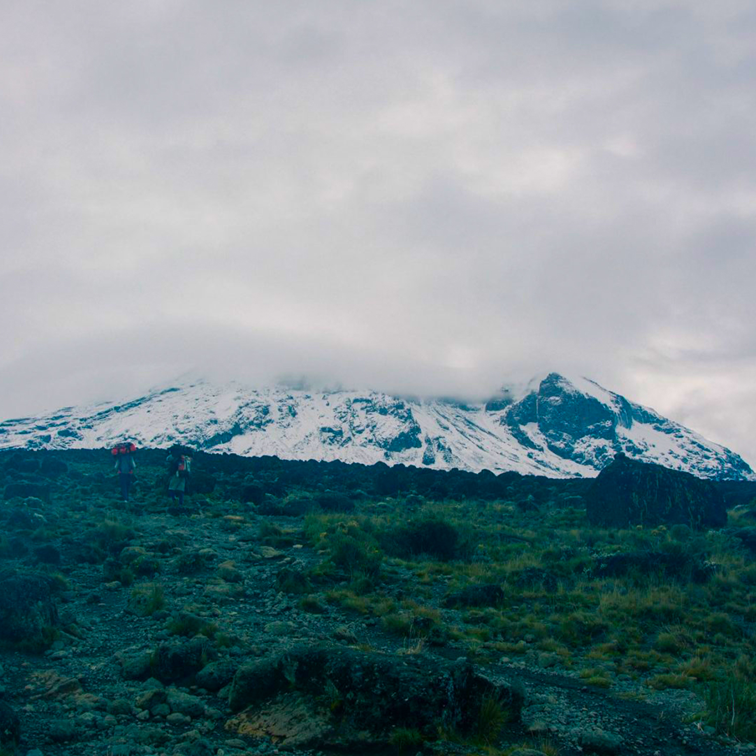 The Kilimanjaro 5 Days Marangu Route